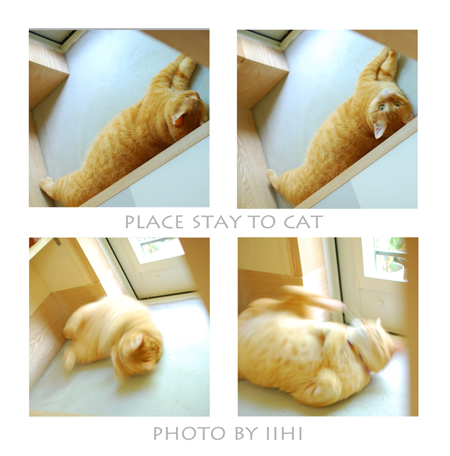placetostaytocat12012july.jpg