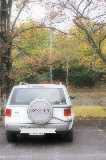 rasheen　12　2013_iihi.jpg