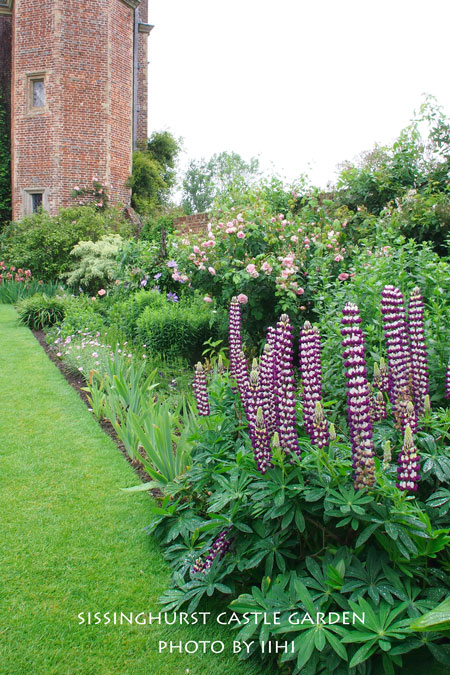 sissinghurstcastle-garden39.jpg