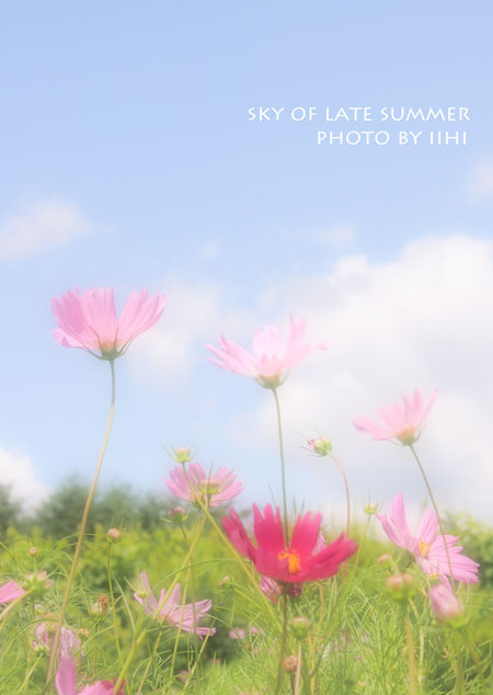 skyoflatesummer1-iihi.jpg