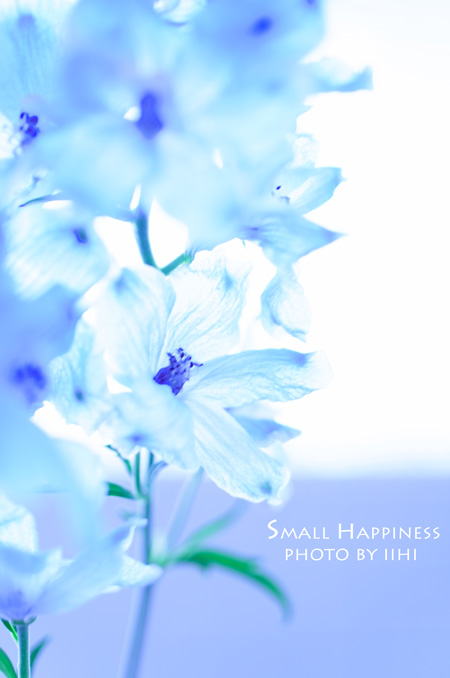 small-happiness-june2013.jpg