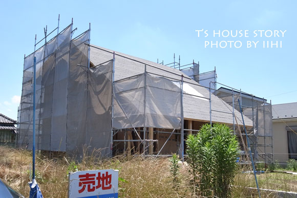 thouse20140615.jpg