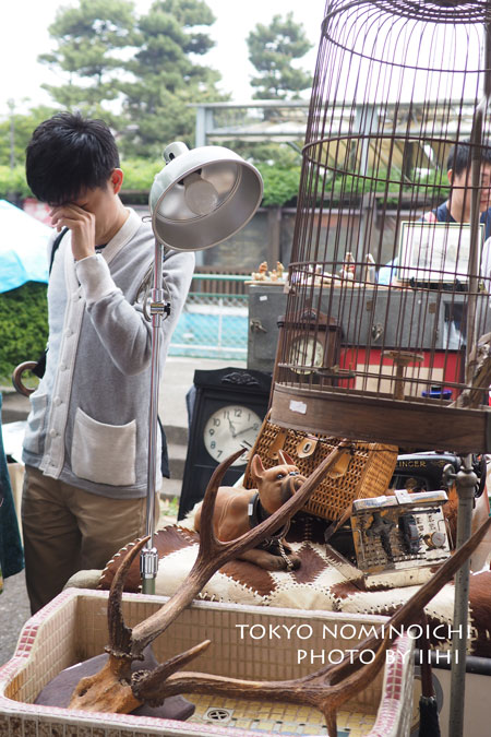 tokyonominoichi2015-05.jpg