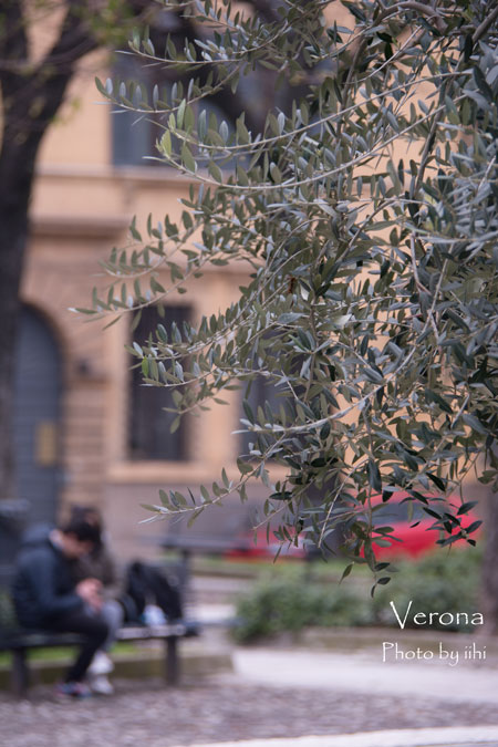 verona02.jpg