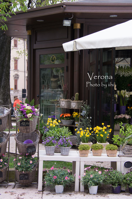 verona03.jpg