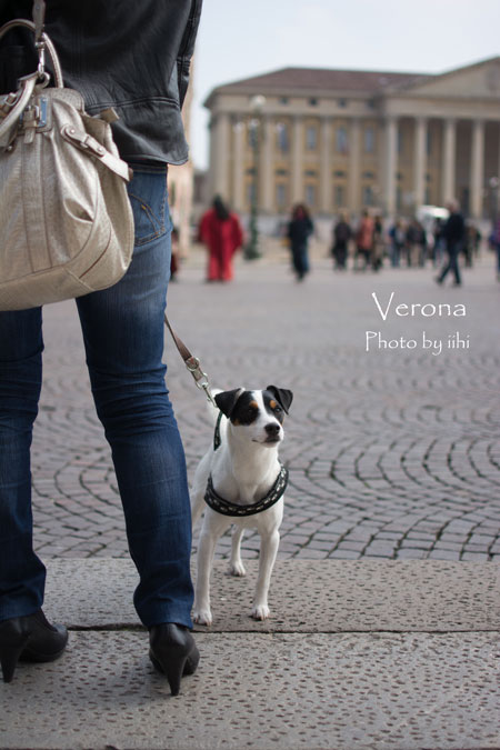 verona05.jpg