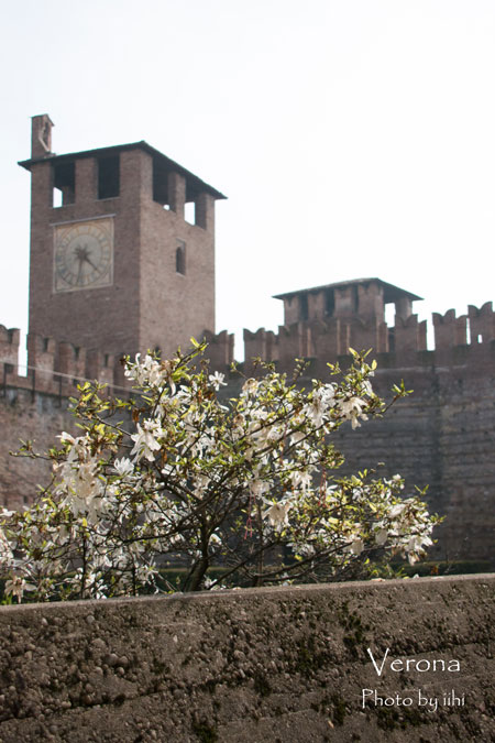 verona07.jpg
